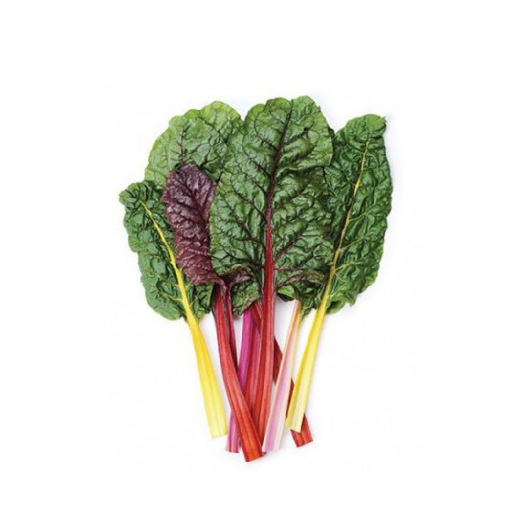 acelga-colores-producto-organico