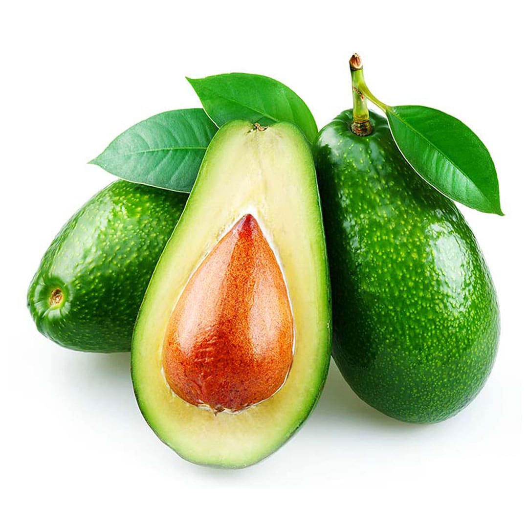 aguacate-criollo-organico