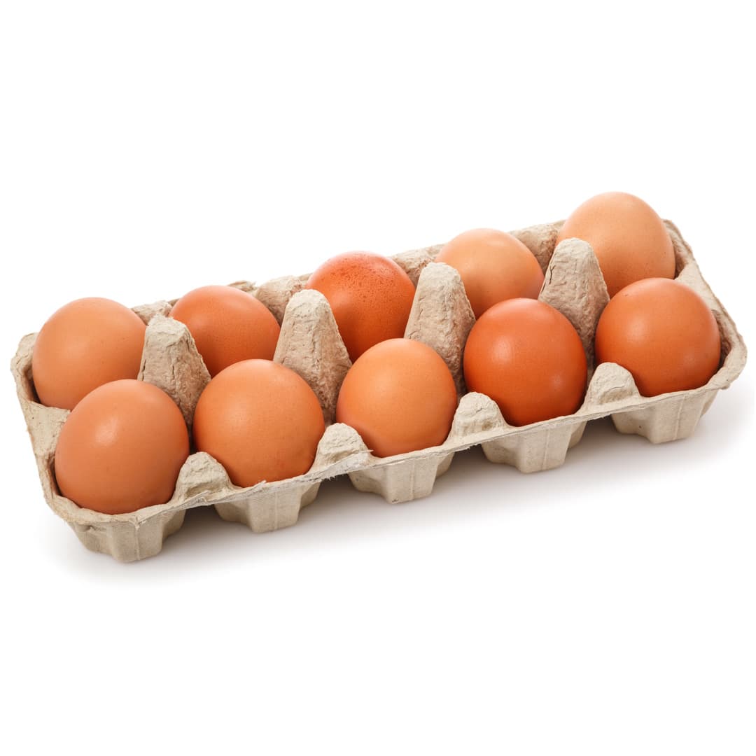 carton-10-huevos-producto-organico carton-10-huevos-producto-organico