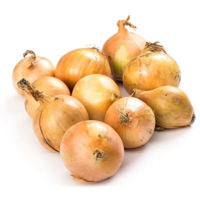 cebolla-blanca-producto-organico