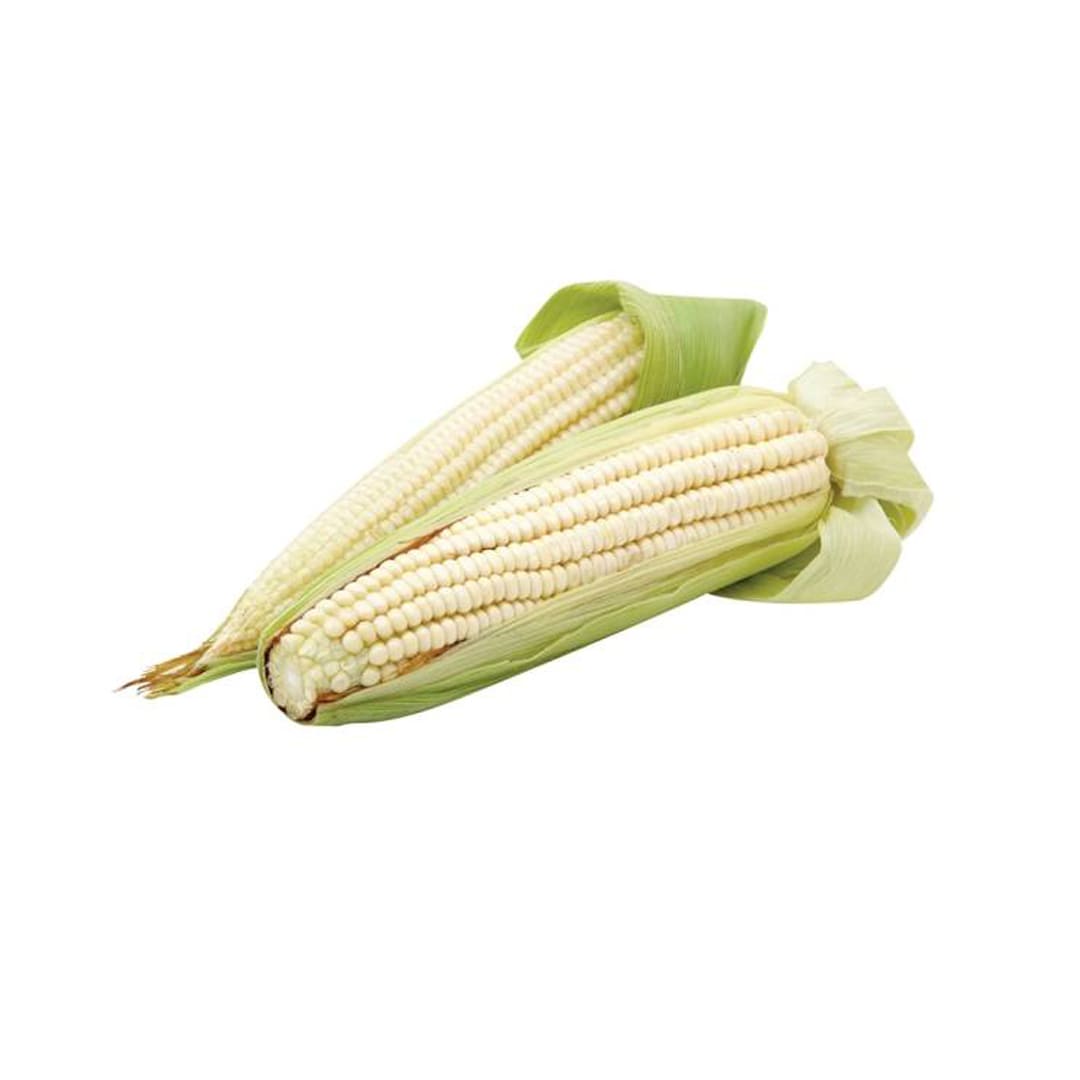 elote-blanco-producto-organico