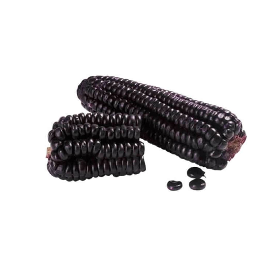 elote-pujagua-producto-organico