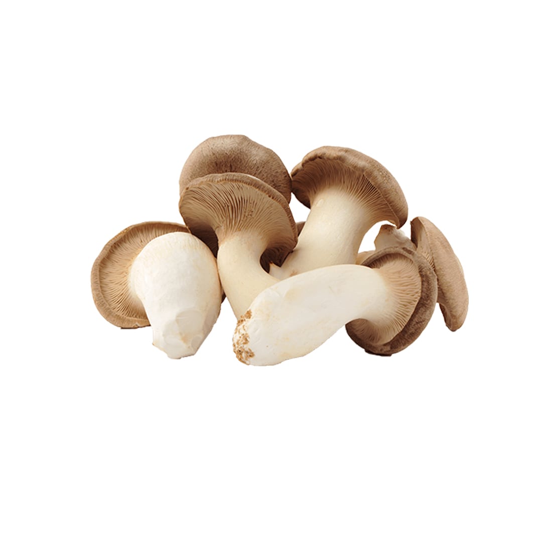hongo-ostra-rey-producto-organico