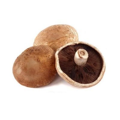 hongo-portobelo-producto-organico