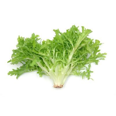 lechuga-escarola-producto-organico