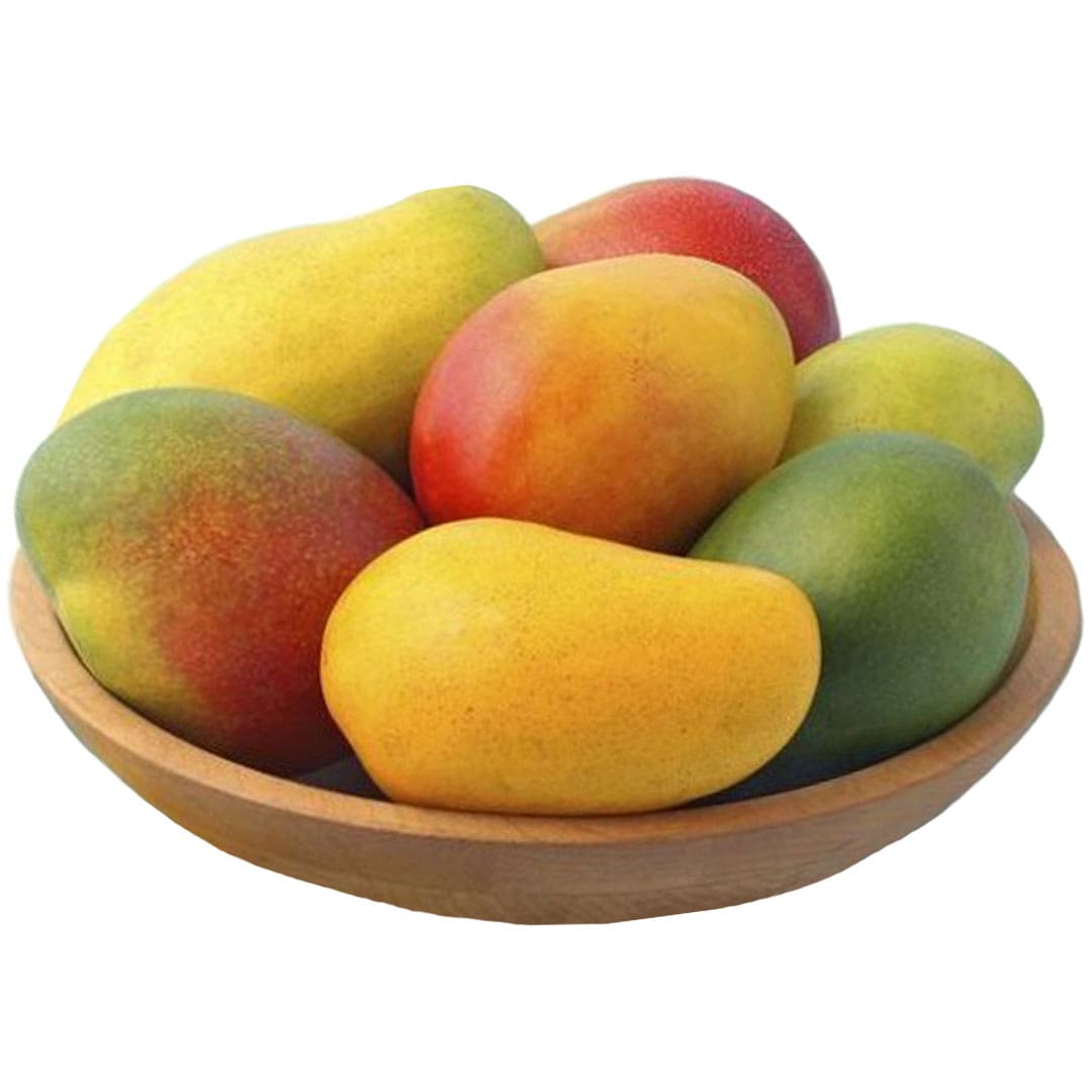 mango-producto-organico