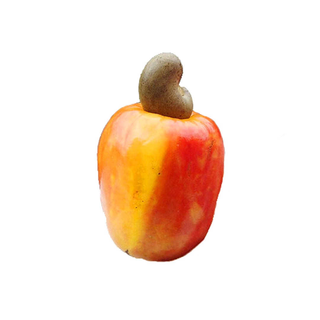 maranon-producto-organico