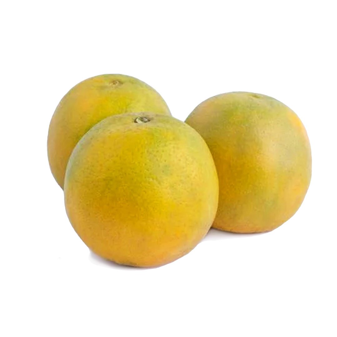 naranja-criolla-producto-organico