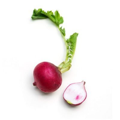 rabano-producto-organico
