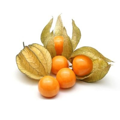 uchuva-producto-organico