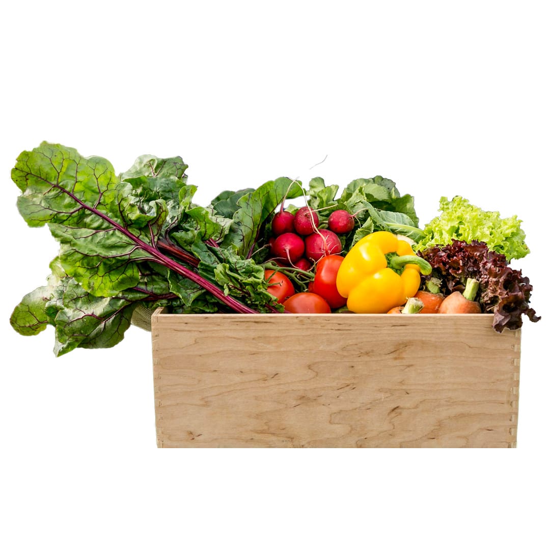 canasta-productos-organicos canasta-productos-organicos