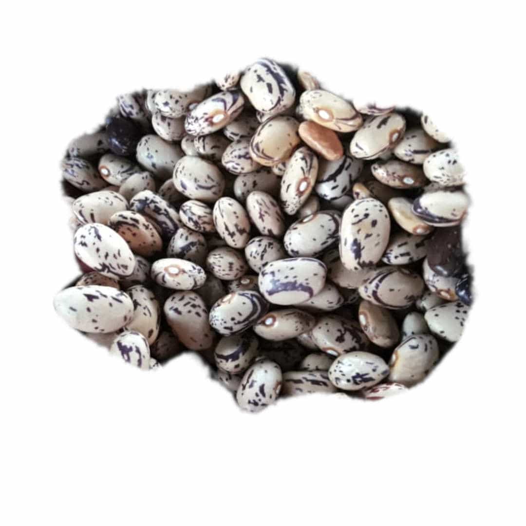 Frijol Navideño Organico