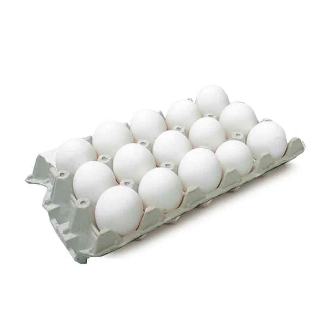 Huevos Blancos Pastoreo 15