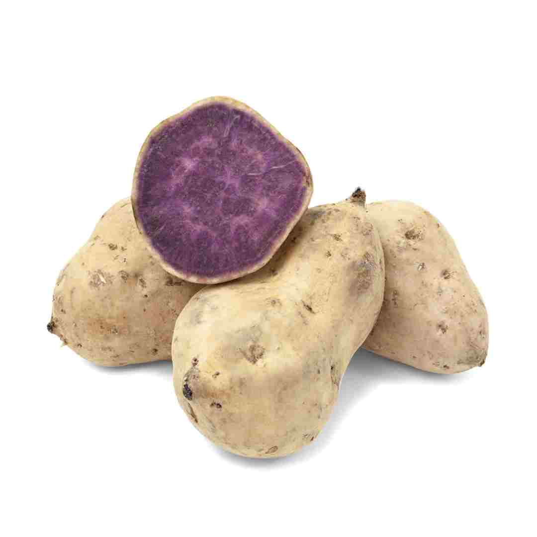 Camote Okinawa Organico