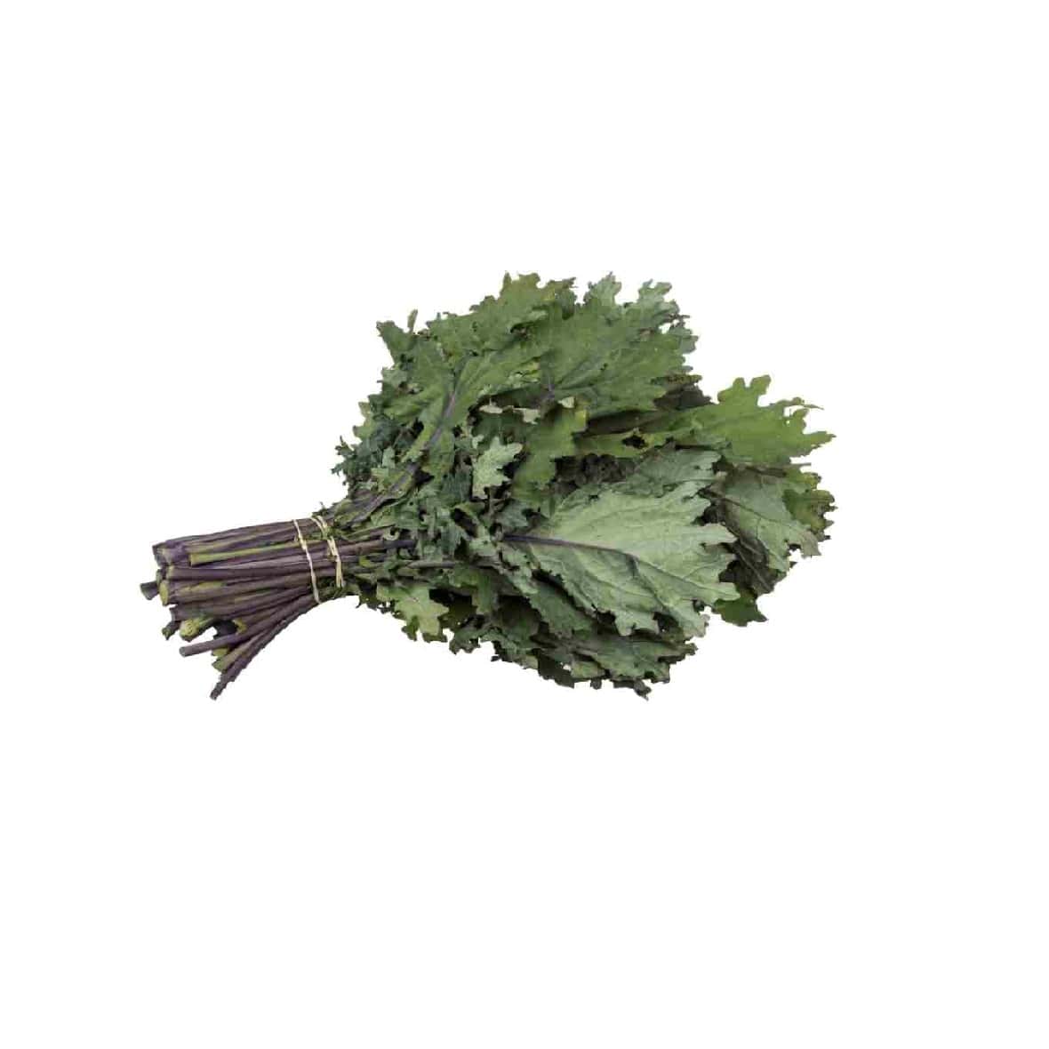 Kale Ruso Organico