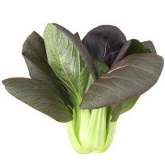 Producto Organico Pak Choi Morado