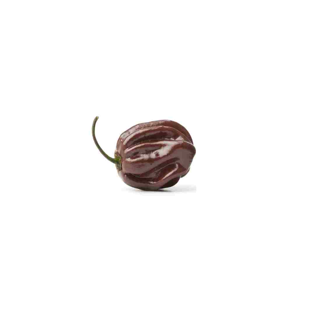 Chile Habanero Chocolate