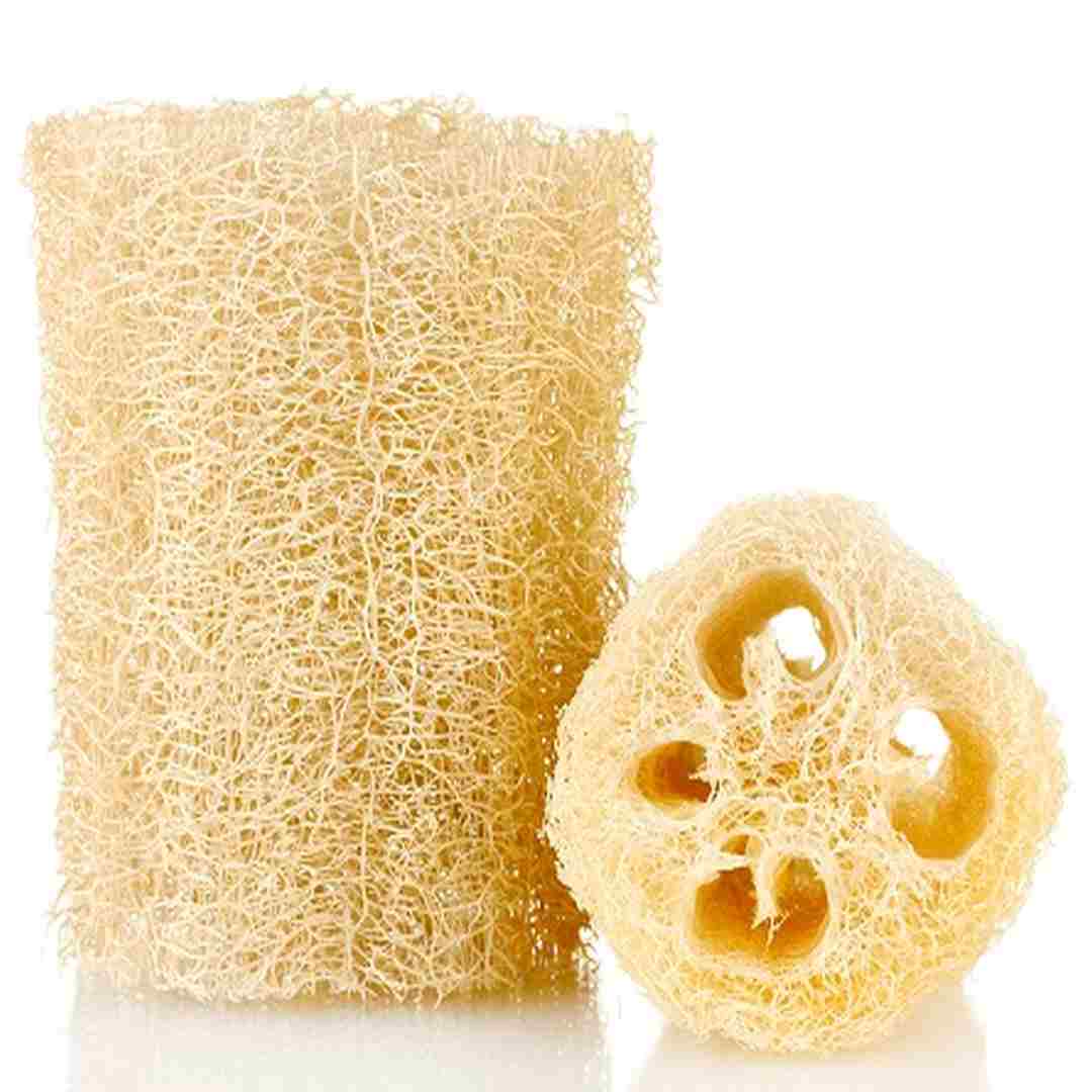 Esponja de Paste