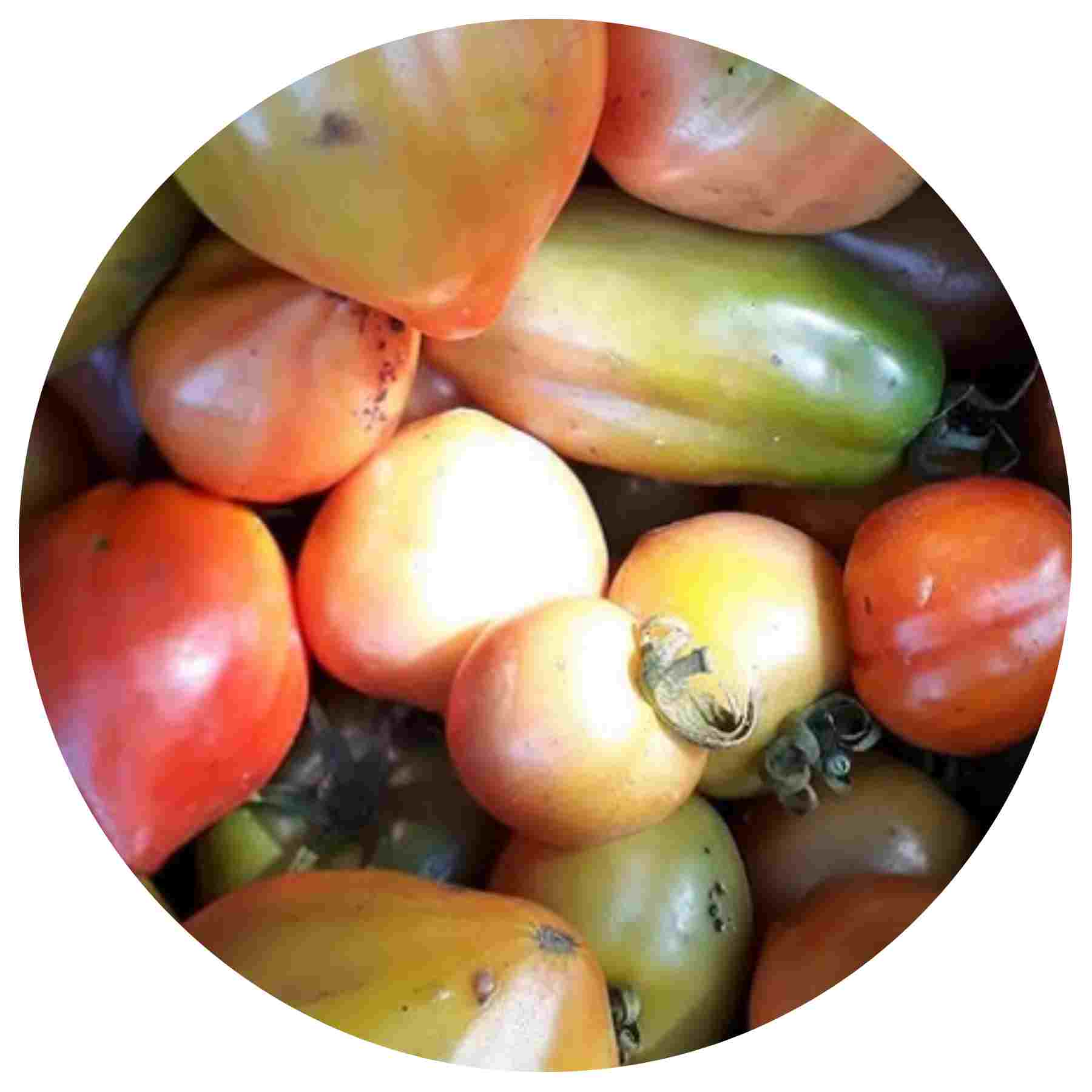 Tomate_natural_SLU