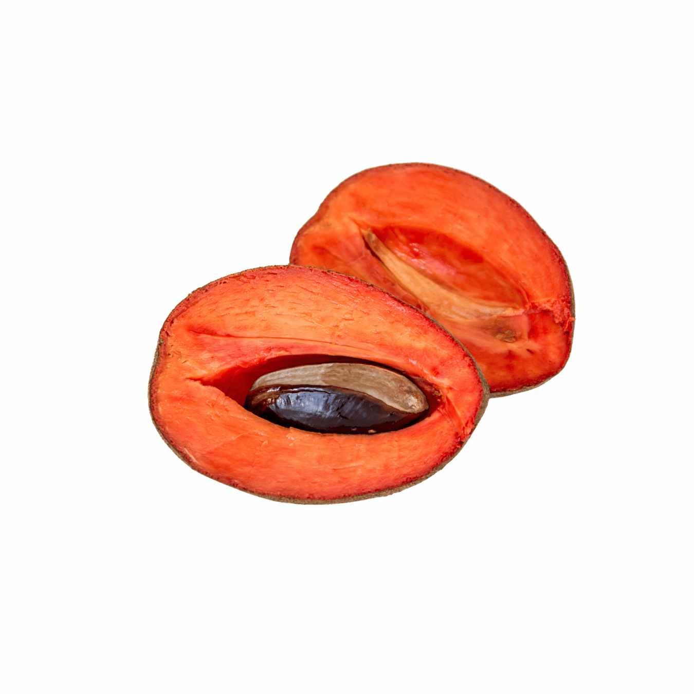 Mamey_FIGO